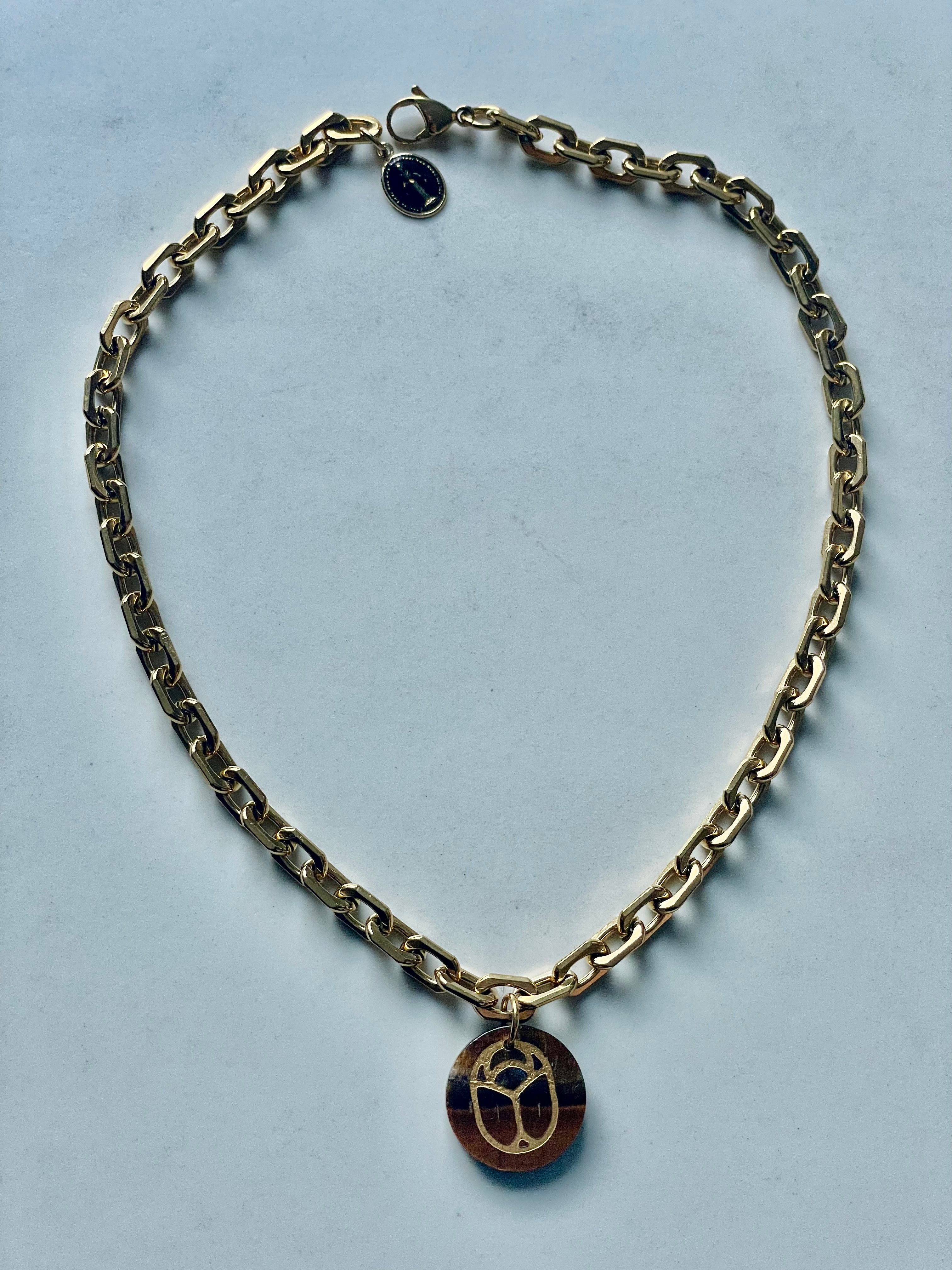 Scarafaggio Oeil du tigre