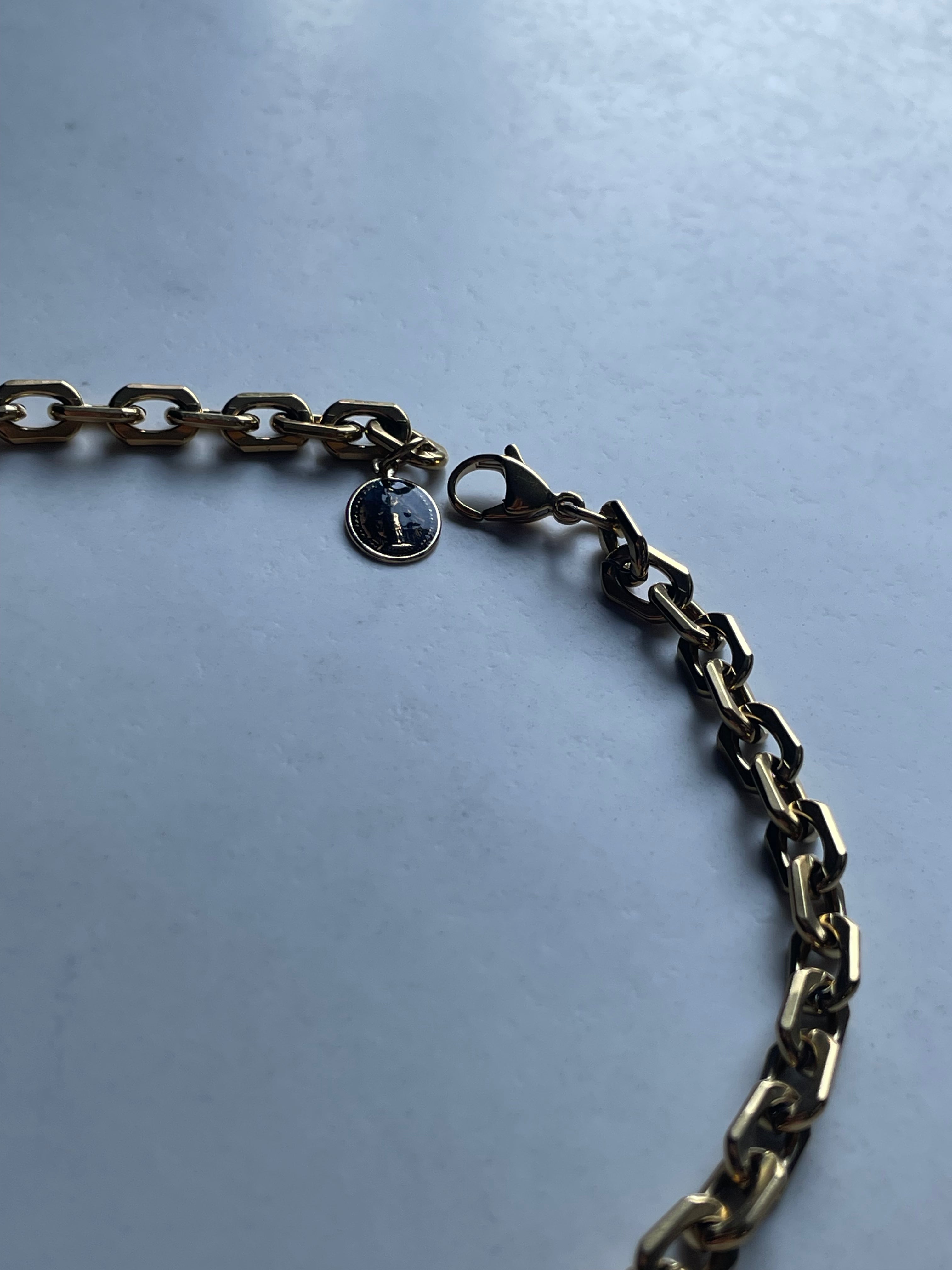 Scarafaggio Oeil du tigre