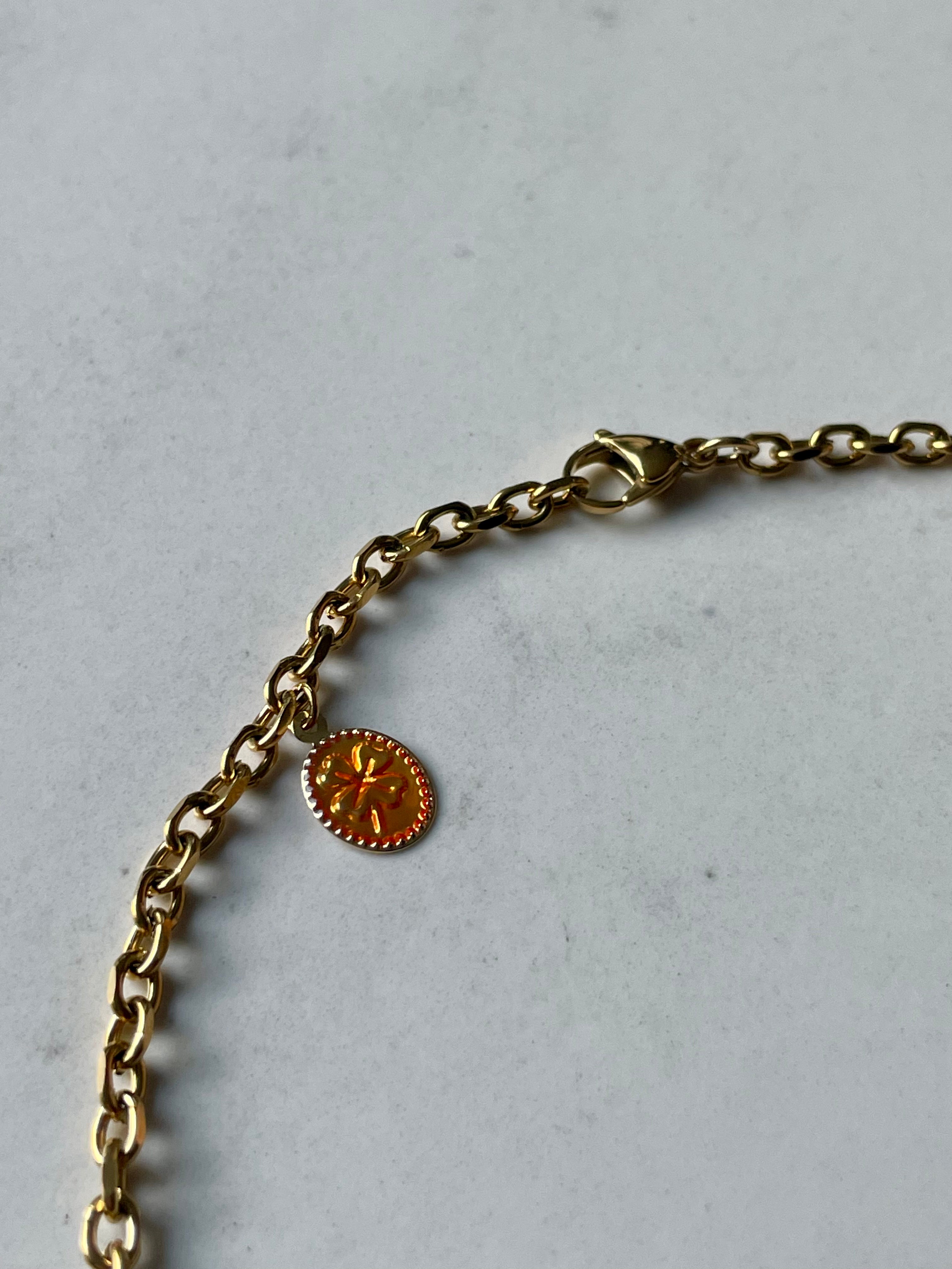 Setlla Oeil de tigre